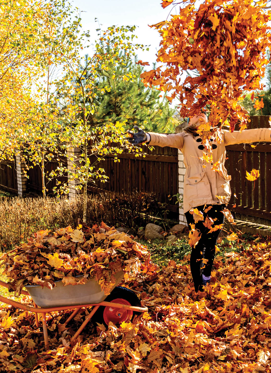 Young Woman having fun throwing while cleaning fallen maple autumn leaves in the garden.