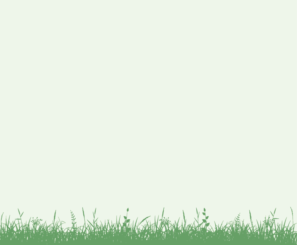 Grass meadow border. Grass on uneven ground.