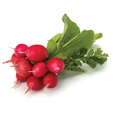 Small garden radish on white background