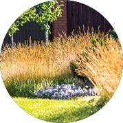 Beautiful backyard landscape design. View of colorful trees and decorative trimmed bushes and rocks