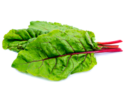 Two chard leaves isolated on white background