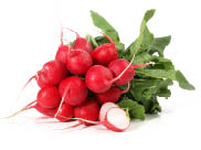 Red Radish on white Background