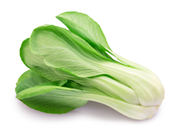 Fresh bok choy or chinese cabbage isolated on white background. File contains clipping path.