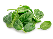 Pile of fresh green baby spinach leaves isolated on white background. Close up