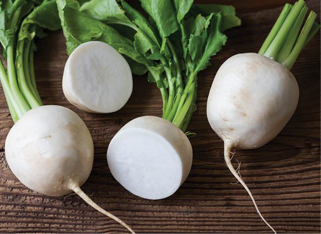 Tasty fresh crude white round japanese radish with green stems and leaves