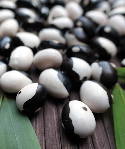 The Yin Yang bean is also known as the Panda Bean. It stands out for its black and white pattern, which is reminiscent of the yin-yang symbol or the fur of a panda.