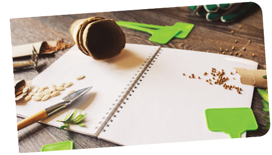 spring garden preparation for sowing vegetable seeds and planning. Pumpkin, coriander with labels, peat pots and tools on note book. Seasonal garden work.
