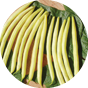 Oval