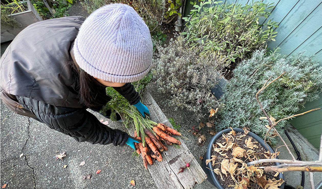 Comment fermer le jardin