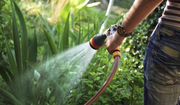 5 astuces pour économiser l’eau au jardin