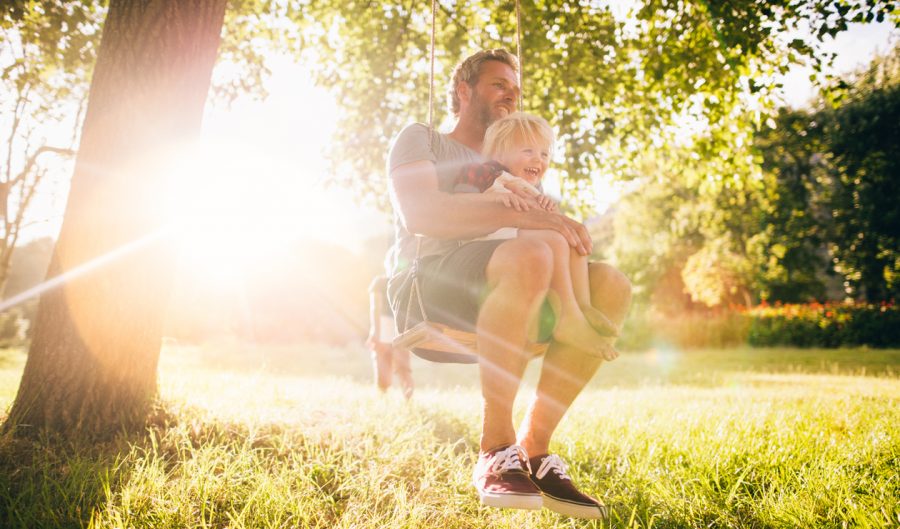 Quel arbre planter devant une maison - Du jardin dans ma vie