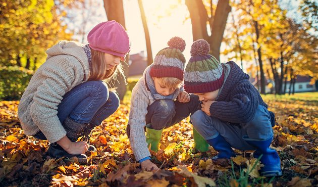 Trois activités à faire avec les enfants l’automne