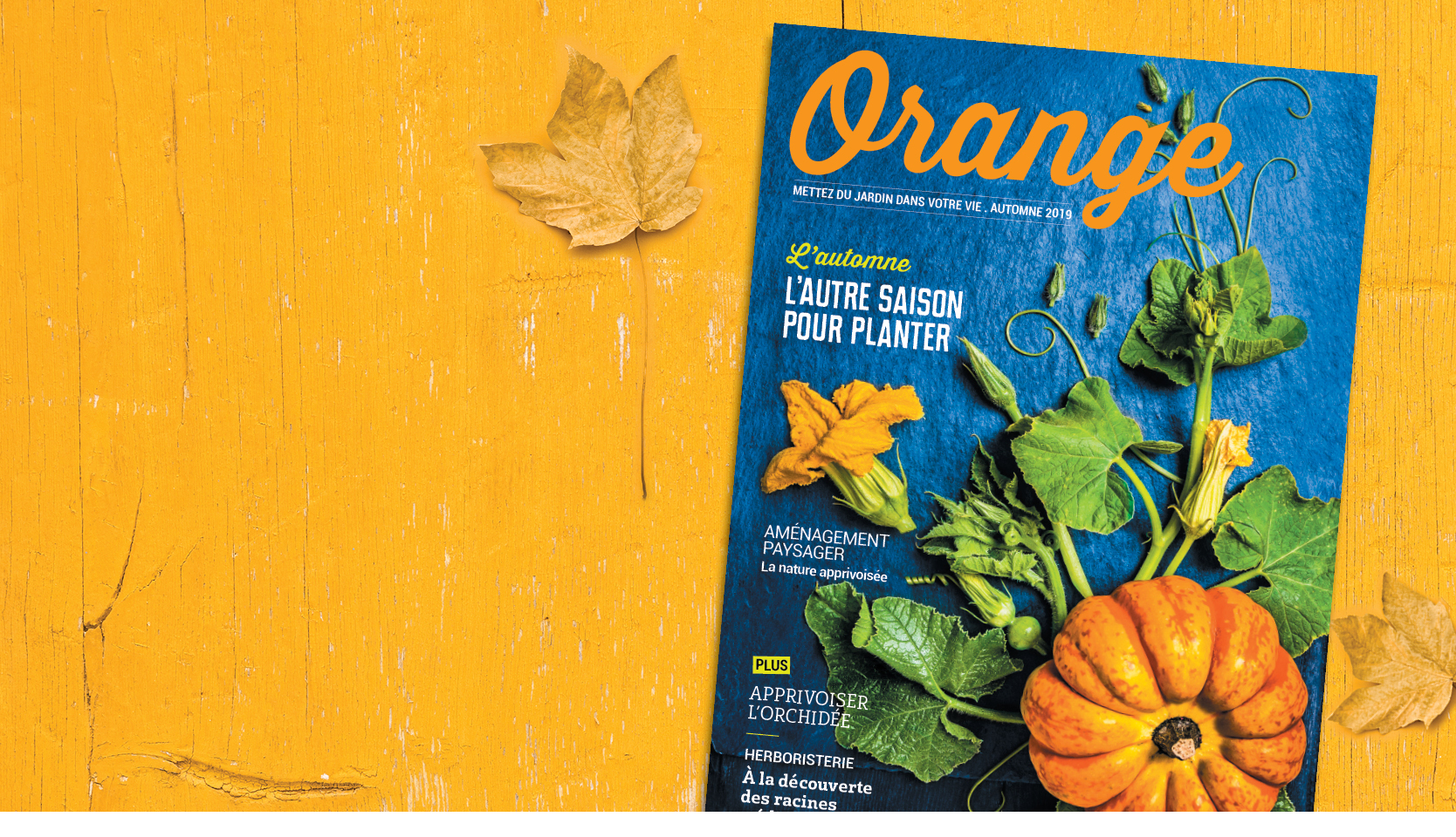 Magazine Orange 2019