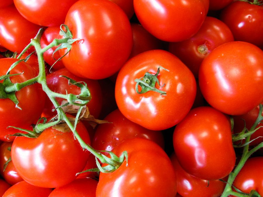 Meilleures tomates à jardin