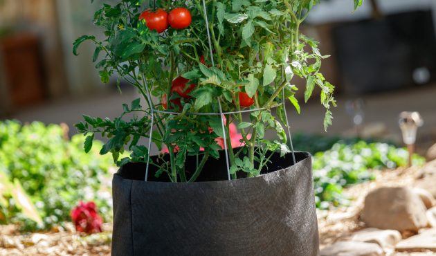 Meilleurs contenants pour cultiver des légumes sur un balcon
