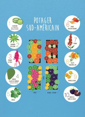 Plan de potager sud-américain