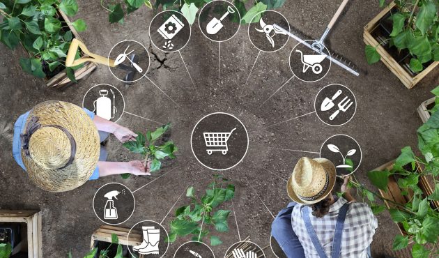 Jardiner en ligne : où acheter ses produits sur Internet