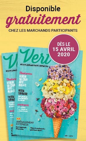 Le magazine Vert 2020 sera bientot disponible