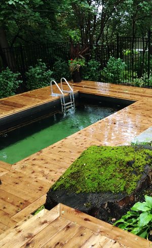 Comment transformer sa piscine en piscine naturelle