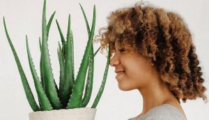 Combattre la depression saisonniere avec les plantes