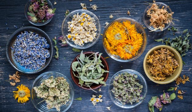 À la découverte des racines médicinales de votre jardin À la découverte des racines médicinales de votre jardin
