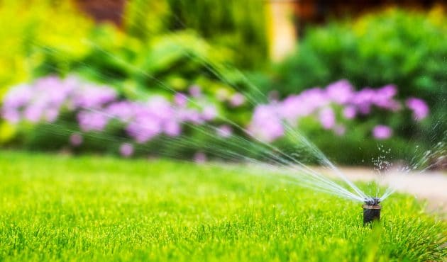 Solutions pour une irrigation réussie de votre jardin