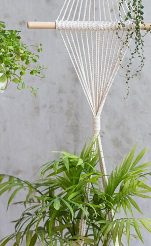 7 façons originales d’intégrer des plantes dans son décor