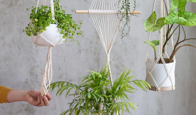 7 façons originales d’intégrer des plantes dans son décor