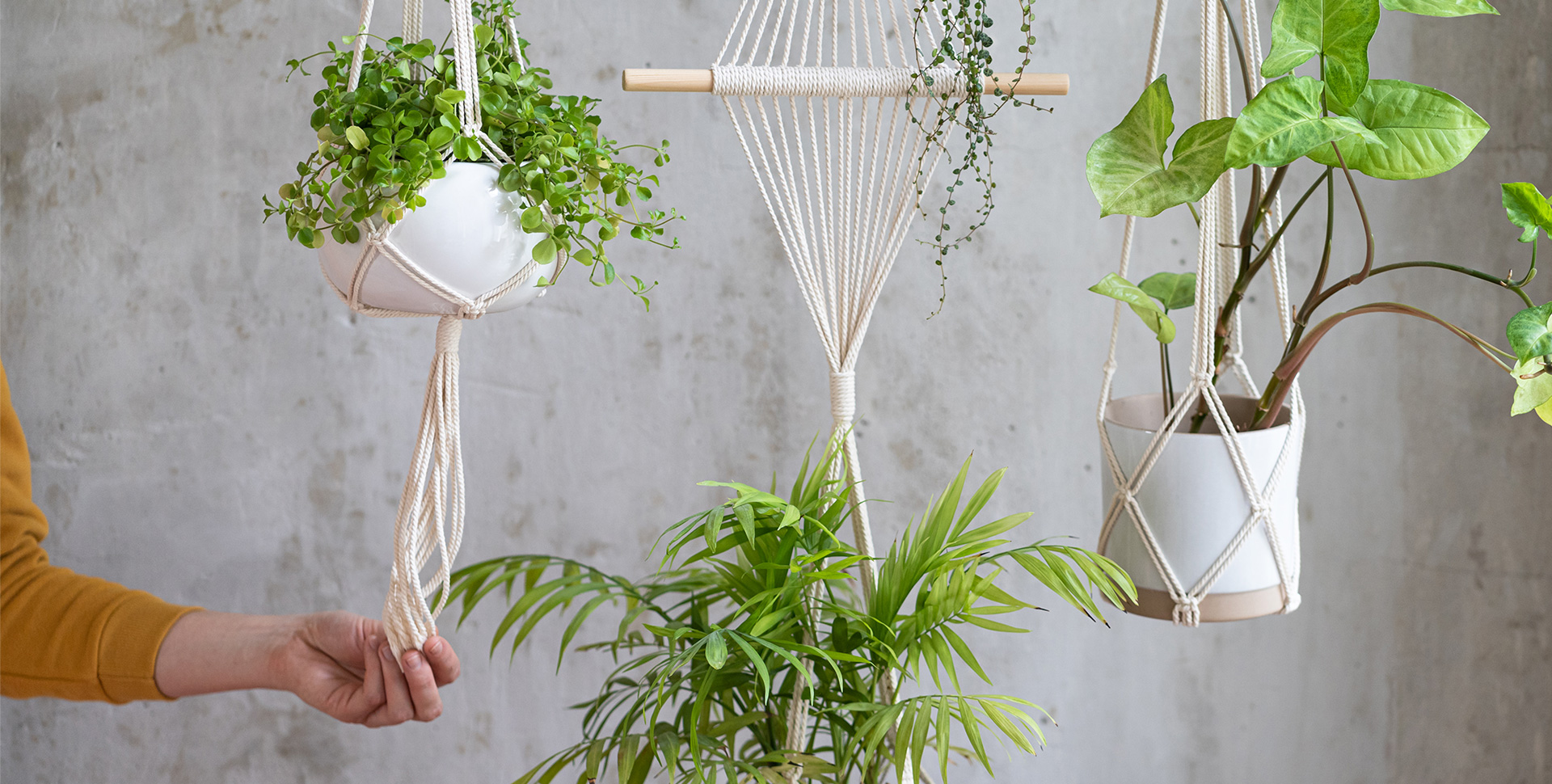 7 façons originales pour intégrer des plantes à votre décor