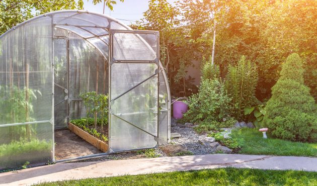 cultiver des légumes dans une serre maison