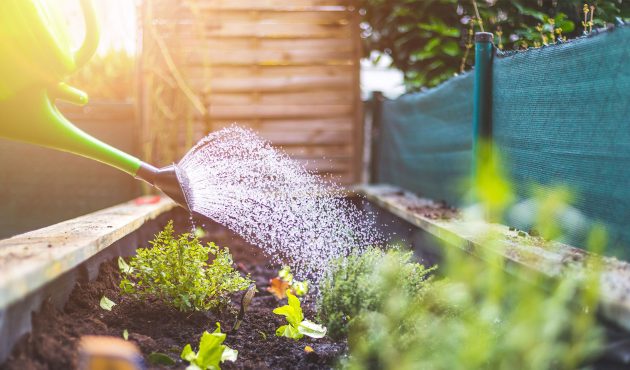 Comment économiser l'eau potable au jardin
