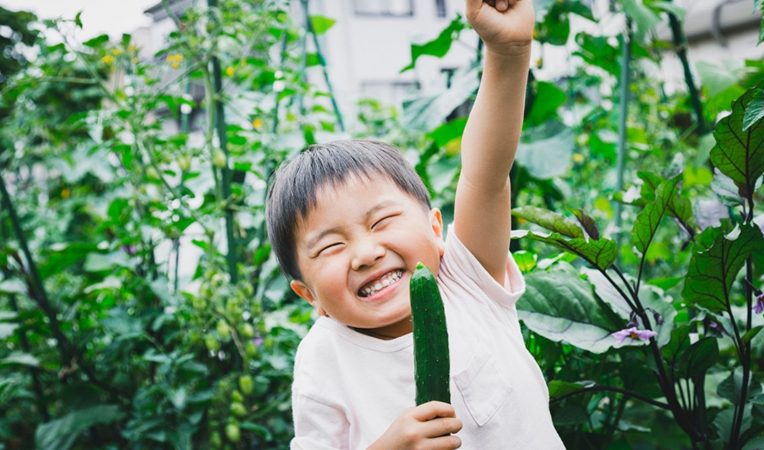 Comment faire pour avoir de beaux concombres au jardin
