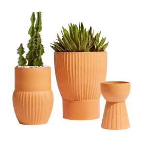 pots en argile avec mini cactus