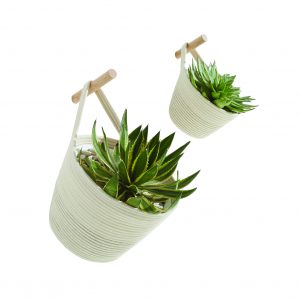 pots et plantes vertes avec crochet
