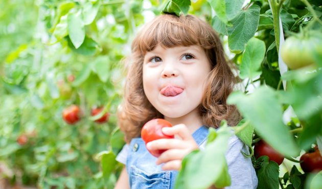 jeune fille dans un jardin croquant dans une tomates savoureuse