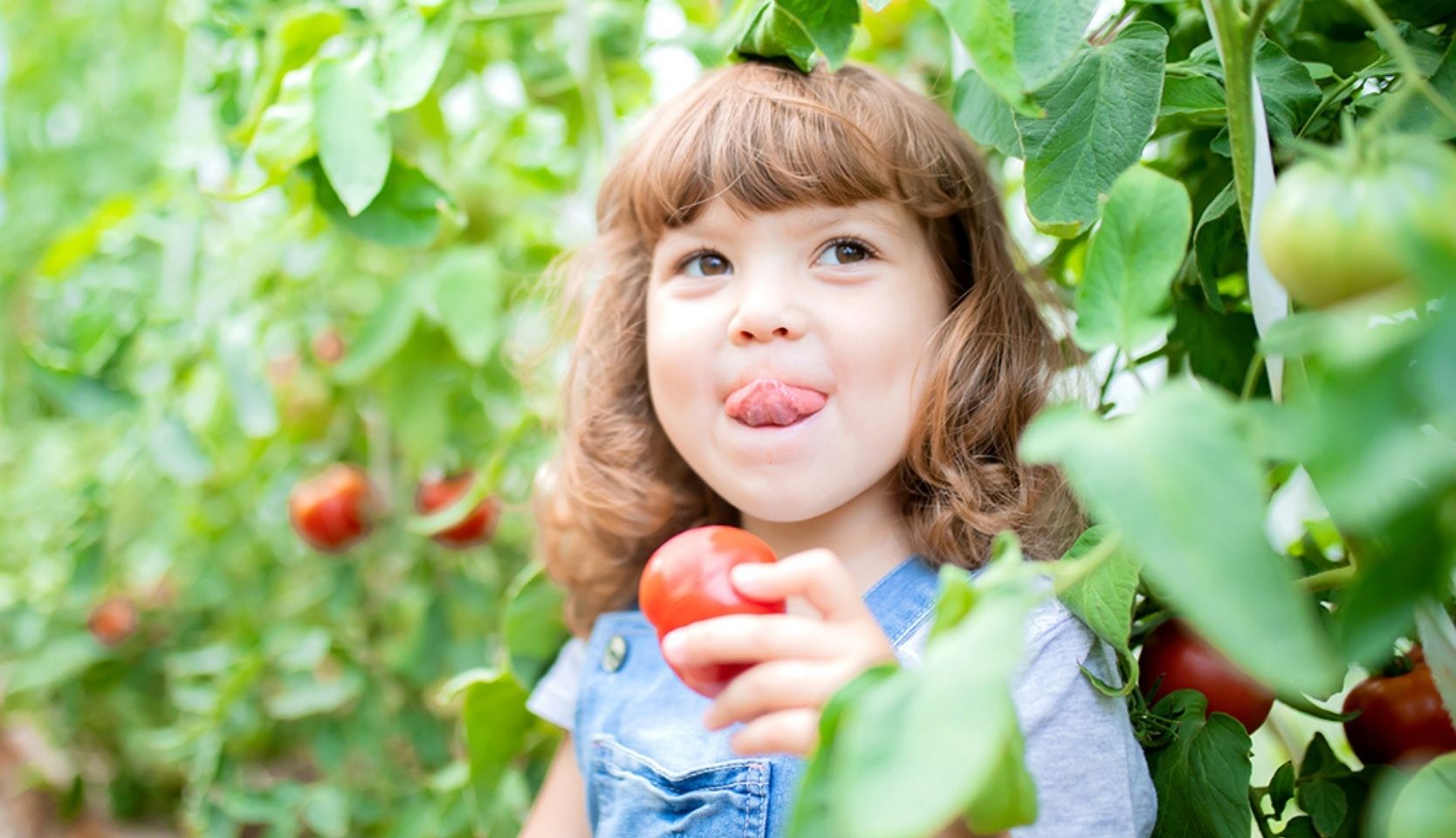 jeune fille dans un jardin croquant dans une tomates savoureuse