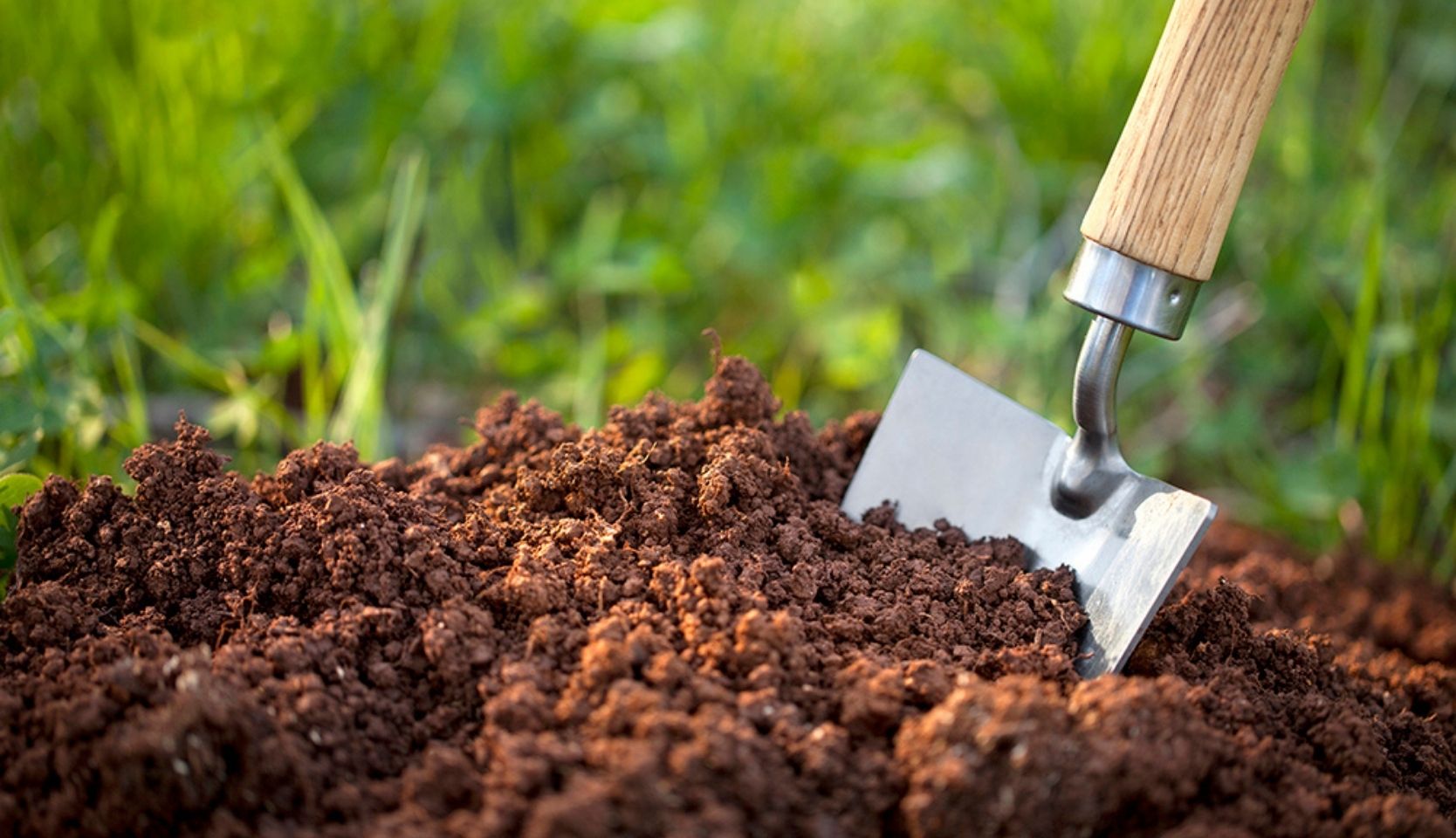 pelle et terre de jardin pour améliorer la terre de votre potager