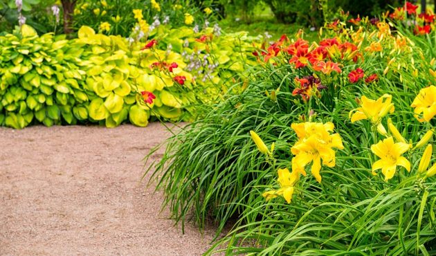 3 idées de plates-bandes pour un jardin luxuriant