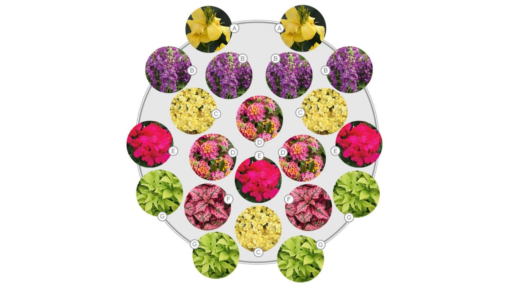 schéma représentant un modèle d'arrangement floral contenant des fleurs tropicales