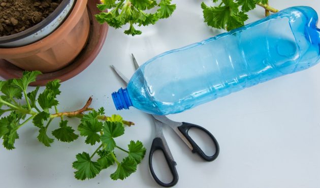 bouteille en plastique pour protéger les plantes dans astuces naturelles jardin
