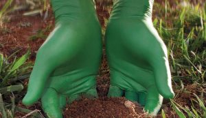 gants de jardinage biodégradables dans un jardin éco-responsable