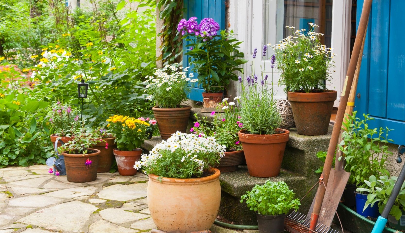 pots et jardinières fleuries en façade d'une maison