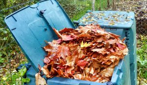 bac de compost bleu contenant feuilles mortes montrant quoi daire des feuilles mortes à l'automne