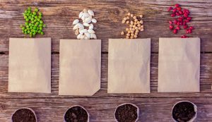 4 enveloppes en papier contenant des semences pour récolter les semences