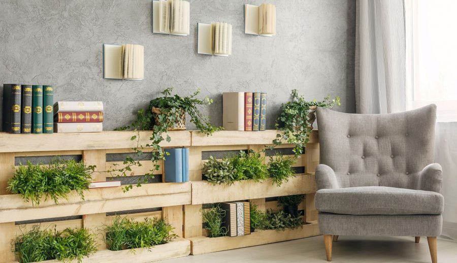 Biblioteca de plantas na decoração de um pequeno apartamento com plantas