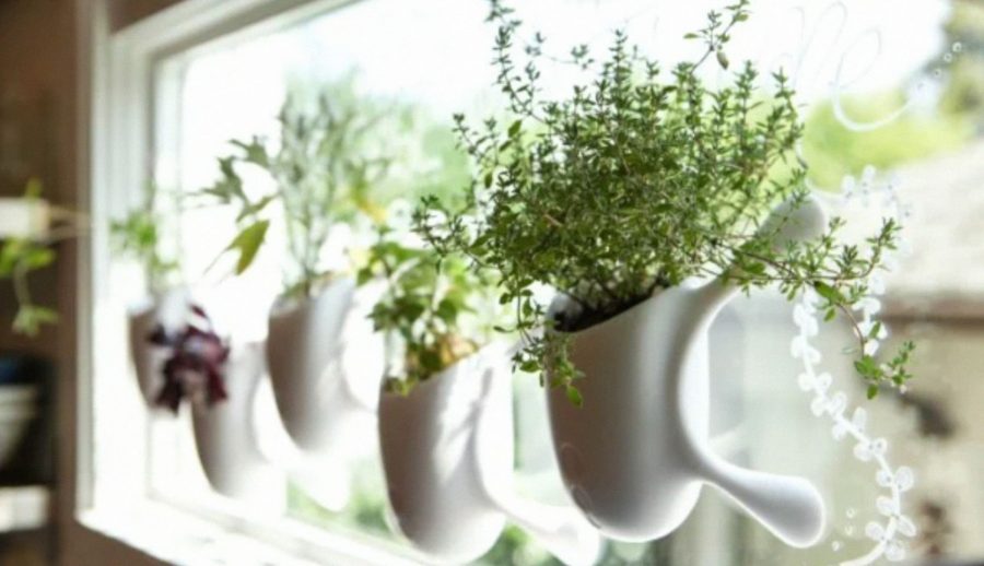 jardineira com ventosas na decoração de apartamento pequeno com plantas
