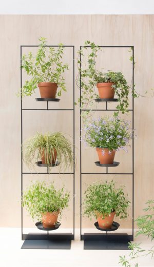 jardinière contemporaine dans décorer petit appartement avec des plantes