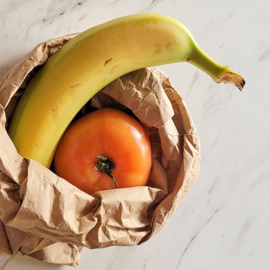 Comment faire mûrir vos tomates? On vous dit tout!
