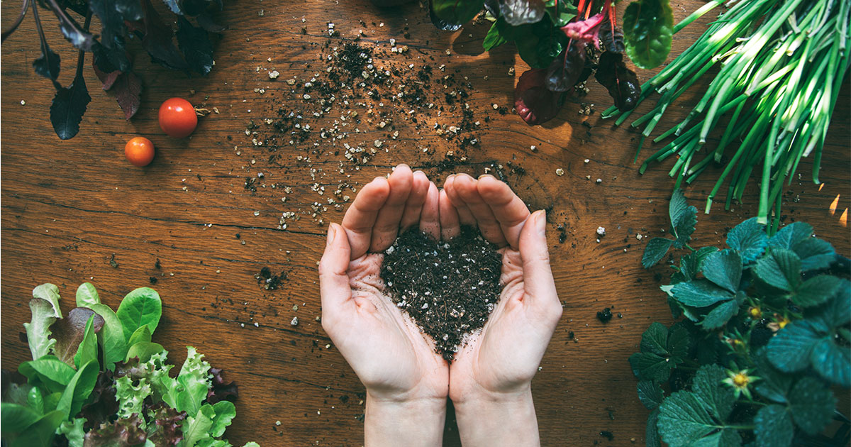 Du jardin dans ma vie | Idées aménagement paysager, jardinage et plus