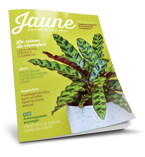 Magazine de jardinage Jaune 2023
